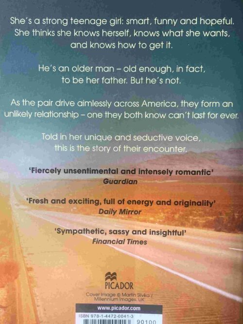 The Ice Age – Kirsten Reed secondhand book