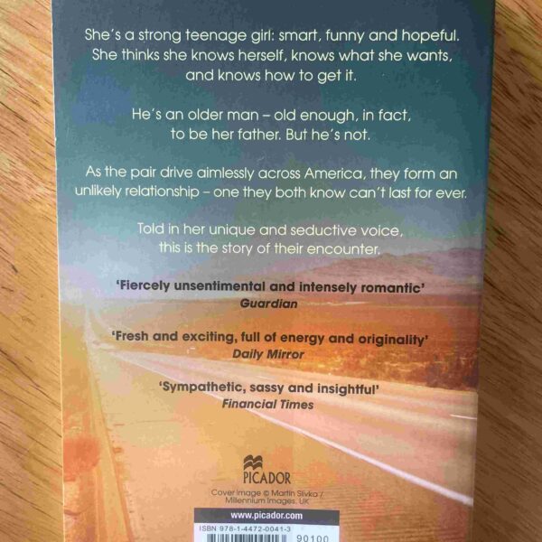 The Ice Age – Kirsten Reed secondhand book