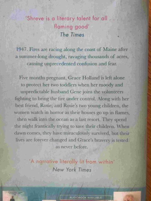 The Stars Are Fire – Anita Shreve secondhand book