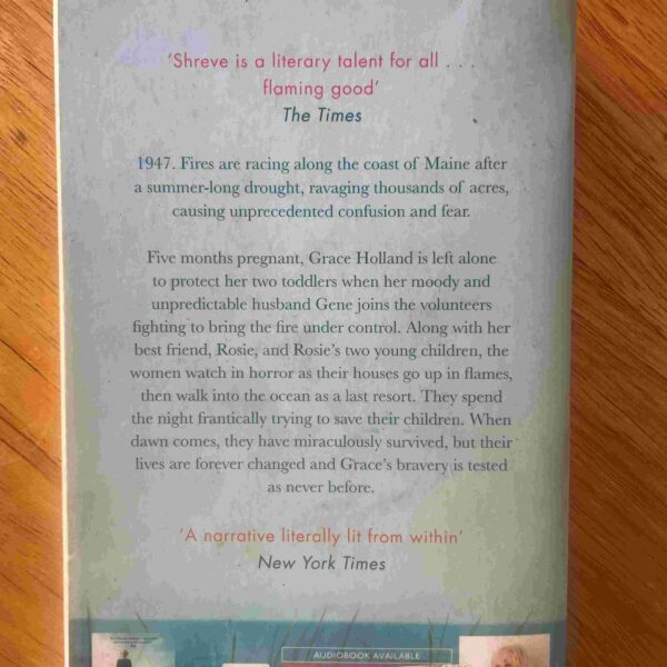 20260306_130420442_iOS The Stars Are Fire – Anita Shreve secondhand book