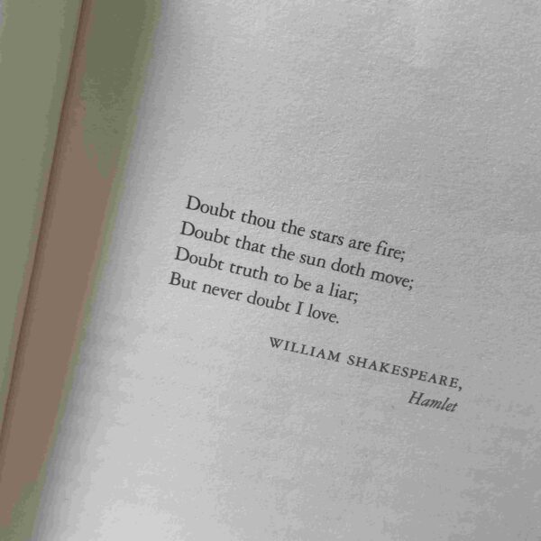 20260306_130434156_iOS The Stars Are Fire – Anita Shreve secondhand book