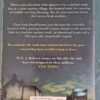 Awakening – S. J. Bolton secondhand book
