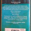 Snow Falcon – Craig Thomas secondhand book