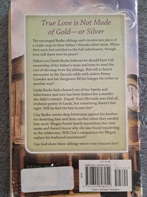 Silver Mountains – Pamela Griffin secondhand book