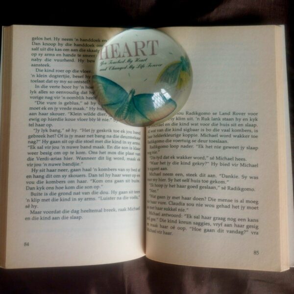 Die Wilde Kind – Fransi Phillips secondhand book