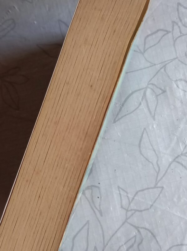 20260319_162818 The Dissident – Nell Freudenberger secondhand book