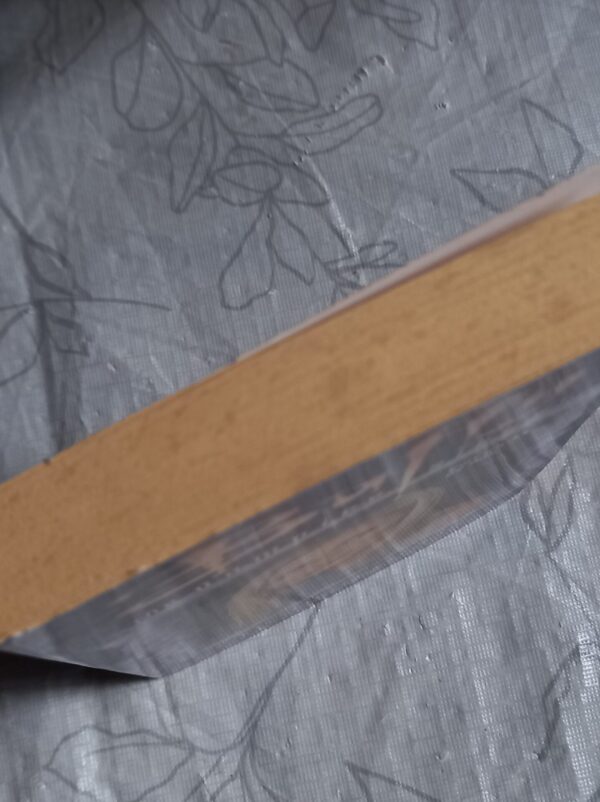 Buffy The Vampire Slayer: Ghoul Trouble – John Passarella secondhand book