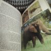 The Kruger National Park — L. E. O. Braack secondhand book