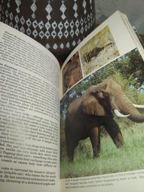 The Kruger National Park — L. E. O. Braack secondhand book