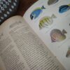 A Marine Aquarium For South Africa: A Complete Do-It-Yourself Guide — Arthur Belcher secondhand book