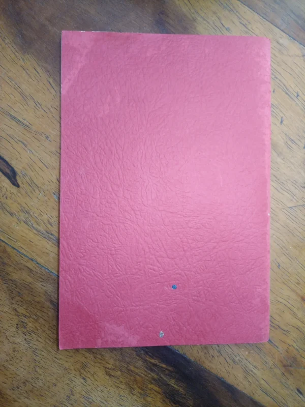 Reading Development Programme: Parents Manual — Glenn J. Doman, Carl H. Delacato secondhand book