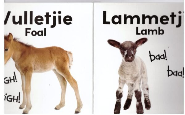 Babadiere / Baby Animals secondhand book