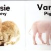 Babadiere / Baby Animals secondhand book