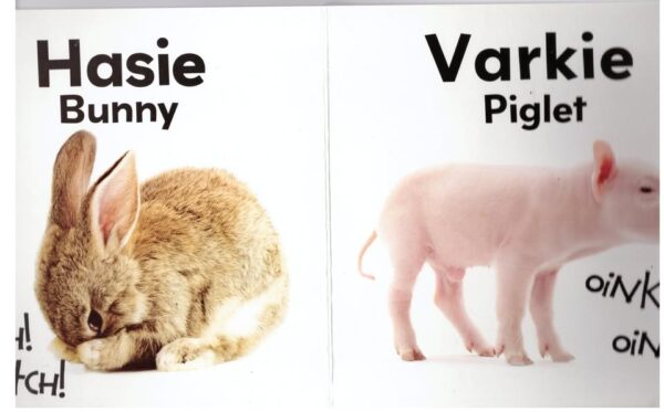 Babadiere / Baby Animals secondhand book