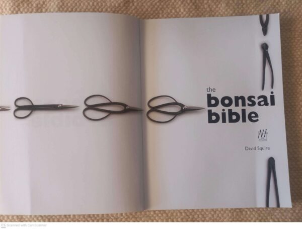 The Bonsai Bible: Raising Exotic Miniature Trees In Your Home — David Squire secondhand book