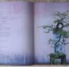 The Bonsai Bible: Raising Exotic Miniature Trees In Your Home — David Squire secondhand book