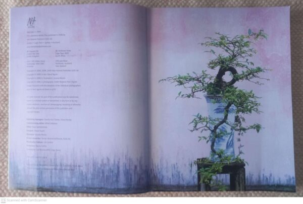 The Bonsai Bible: Raising Exotic Miniature Trees In Your Home — David Squire secondhand book