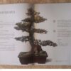 The Bonsai Bible: Raising Exotic Miniature Trees In Your Home — David Squire secondhand book