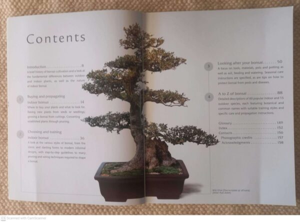 The Bonsai Bible: Raising Exotic Miniature Trees In Your Home — David Squire secondhand book