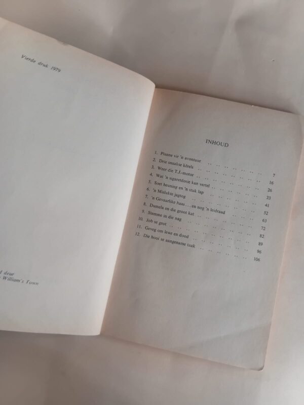 Die Geheim Van Job Se Grot – WP Steenkamp secondhand book
