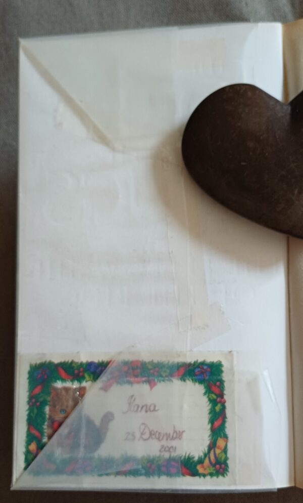 The Fellowship Of The Ring – JRR Tolkien secondhand book