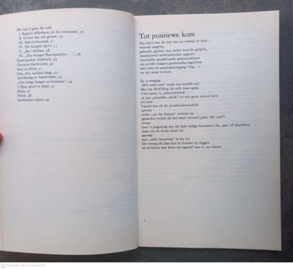 Die Grammatika Van liefhê — J. C. Steyn secondhand book