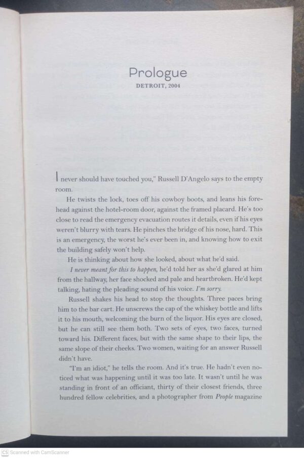 Griffin Sisters Greatest Hits4 The Griffin Sisters Greatest Hits — Jennifer Weiner secondhand book