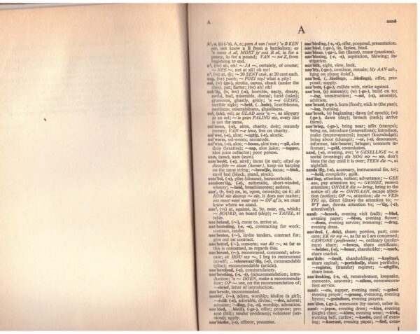 Handige Woordeboek: Afrikaans-Engels / Engels-Afrikaans — M. S. B. Kritzinger secondhand book