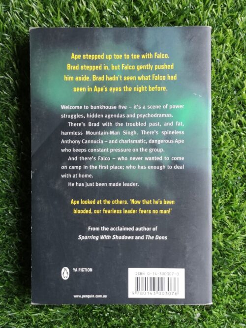 Bruises – Archimede Fusillo secondhand book