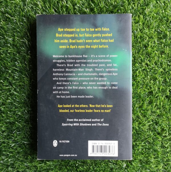 Bruises – Archimede Fusillo secondhand book