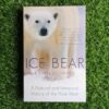 Ice Bear – Kieran Mulvaney secondhand book