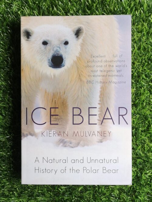 Ice Bear – Kieran Mulvaney secondhand book