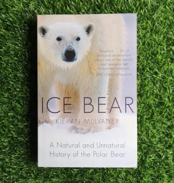 Ice Bear – Kieran Mulvaney secondhand book