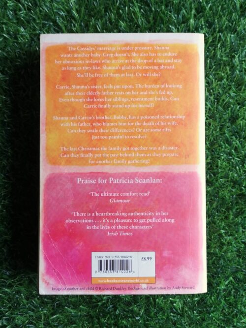 Divided Loyalties – Patricia Scanlan secondhand book