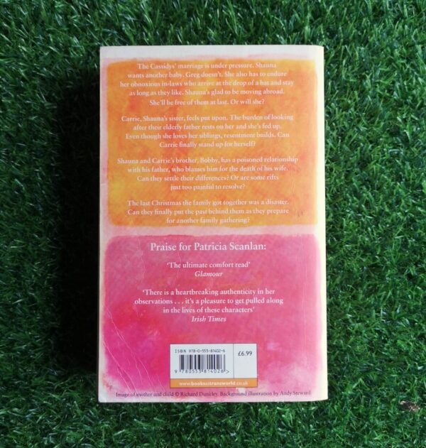 Divided Loyalties – Patricia Scanlan secondhand book