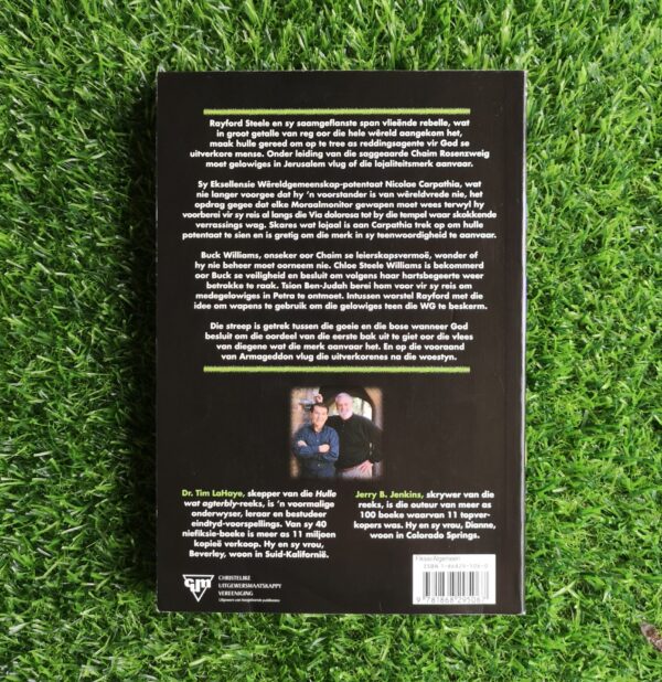 Hulle Wat Agterbly 9: Die Ontheiliging – Jerry B. Jenkins en Tim LaHaye secondhand book