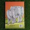 Pindi – Roy Harding secondhand book
