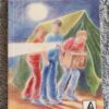 Jinx, Dubbel Jinx! – Alicia Erasmus secondhand book