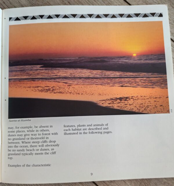 A Guide To The Coast And Nature Reserves Of Transkei – Duncan Butchart secondhand book