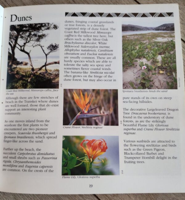 A Guide To The Coast And Nature Reserves Of Transkei – Duncan Butchart secondhand book