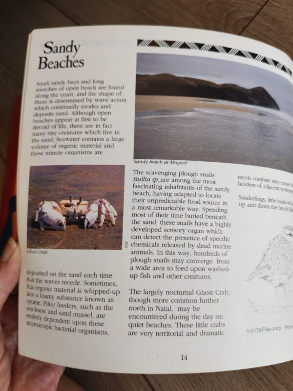 A Guide To The Coast And Nature Reserves Of Transkei – Duncan Butchart secondhand book