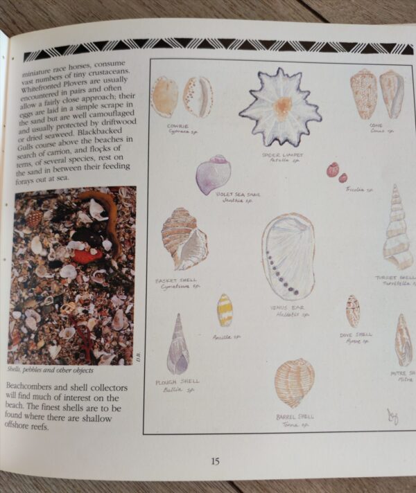 A Guide To The Coast And Nature Reserves Of Transkei – Duncan Butchart secondhand book