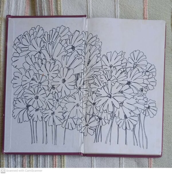 Vrou Haar Eie Wêreld: Kosmosvelde — Berna Van Coppenhagen secondhand book