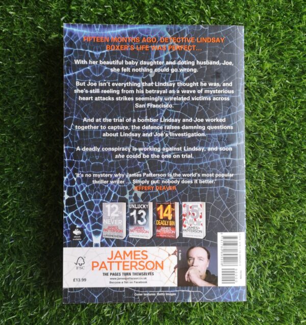 16th Seduction – James Patterson and Maxine Paetro secondhand book