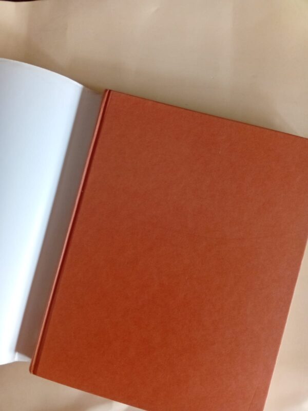 Leserskring Se Langenhoven In Volkleur – Leon Rousseau secondhand book