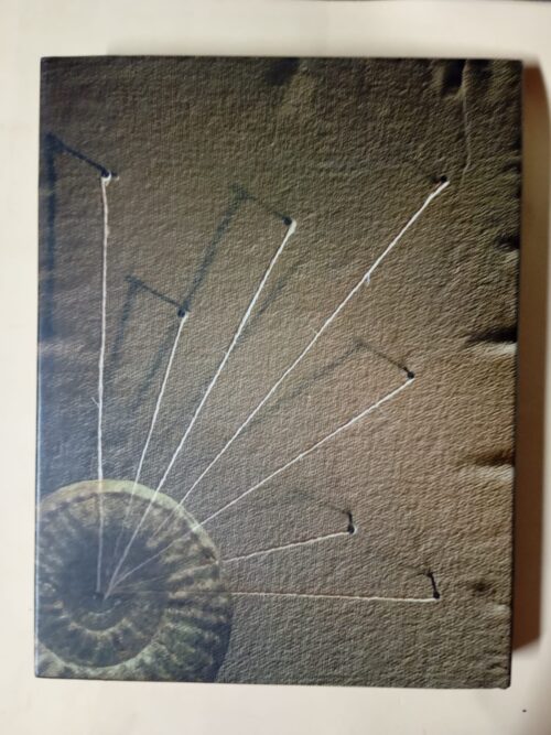 Life Etched In Stone: Fossils Of South Africa – Colin MacRae secondhand book
