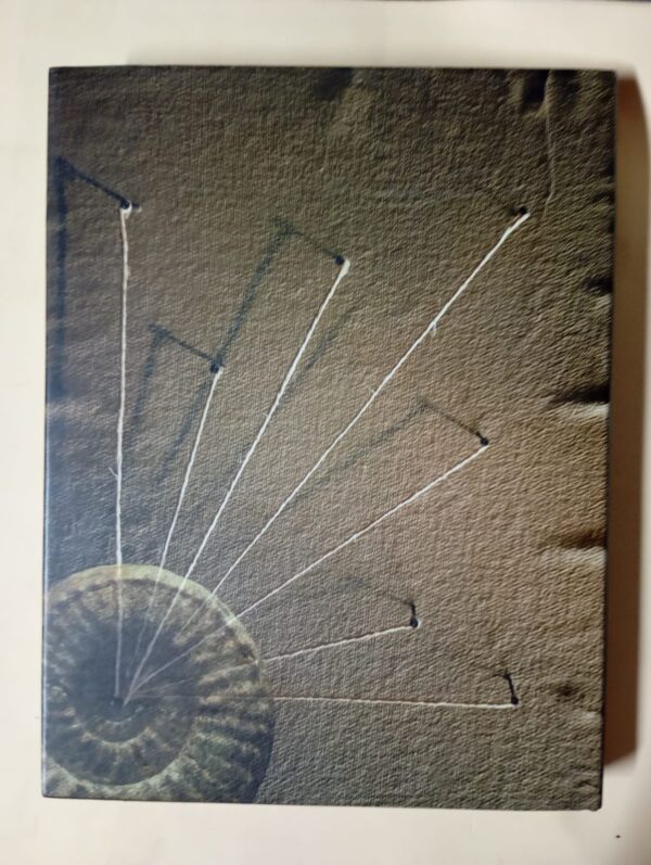 Life Etched In Stone: Fossils Of South Africa – Colin MacRae secondhand book