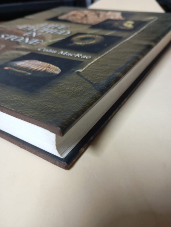 Life Etched In Stone: Fossils Of South Africa – Colin MacRae secondhand book
