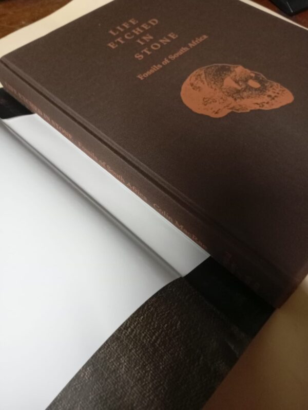 Life Etched In Stone: Fossils Of South Africa – Colin MacRae secondhand book