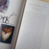 Life Etched In Stone: Fossils Of South Africa – Colin MacRae secondhand book